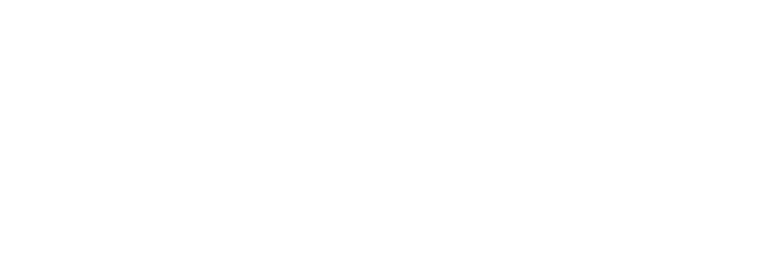 Ithaca Partners
